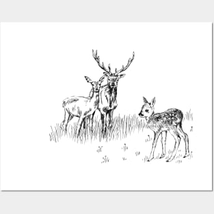 Deer family print Posters and Art